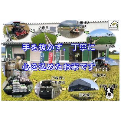 ふるさと納税 阿賀野市 【令和7年産先行受付】阿賀野市産 コシヒカリ 「ファームホリコシ美田米」 10kg 白米 精米 |  | 02