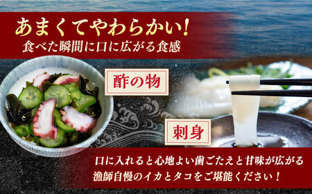 【先行予約】ヤリイカ刺身とタコ刺身セット【漁師の店　満月】[KAA378]
