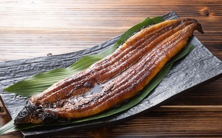 【2回定期便】極上国産うなぎ四万十桜　蒲焼き約140g×3尾 | 蒲焼うなぎ 四万十うなぎ 高知県産うなぎ 厳選うなぎ うなぎ