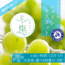 【ふるさと納税】【2024年12月～2025年1月発送】氷温貯蔵マスカット冬姫 ぶどう フルーツ 果物 マスカット シャインマスカット TY0-0914var