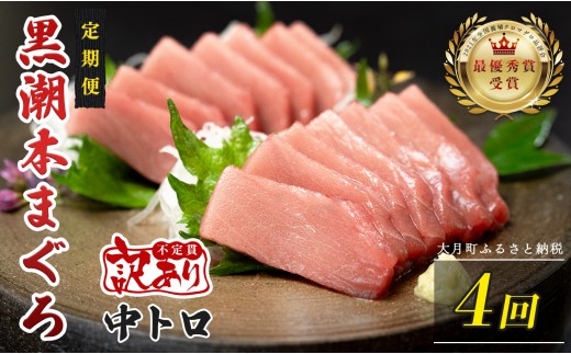 訳あり 不定貫 定期便 4回 国産 養殖本マグロ 中トロ 毎回120g×4回 黒潮本まぐろ 全国養殖クロマグロ品評会 最優秀賞受賞 4ヶ月 4か月 柵 刺身用 本マグロ クロマグロ 本鮪 まぐろ 鮪 お刺身 さしみ トロ 海鮮丼 漬け丼 手巻き寿司 鉄火丼 まぐろ丼 小分け 個包装 真空パック 冷凍 不揃い 家庭用 海鮮 年末年始 高知県 大月町 3万円