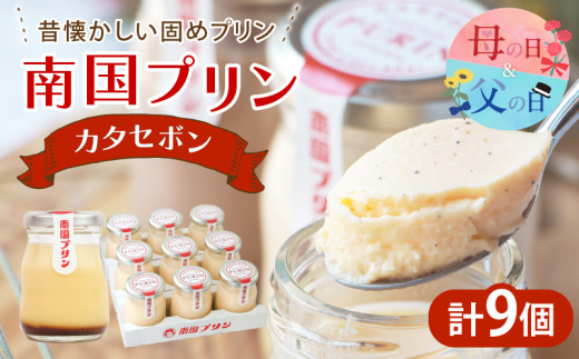 【父の日までにお届け】南国プリン「カタセボン(計9個)」 スイーツ 洋菓子 国産_T038-0031-FA