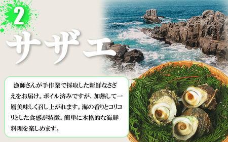 バーベキューセット 大アサリ 半割6個 サザエ 3個 冷凍 セット 詰め合わせ BBQ あさり さざえ 貝 貝類 かい 貝 かい さざえ