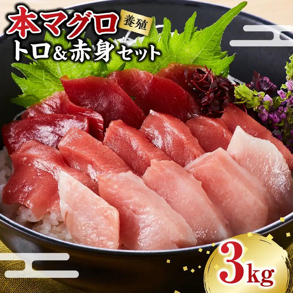 本マグロ（養殖）トロ 赤身 セット 3kg［KS14］まぐろ