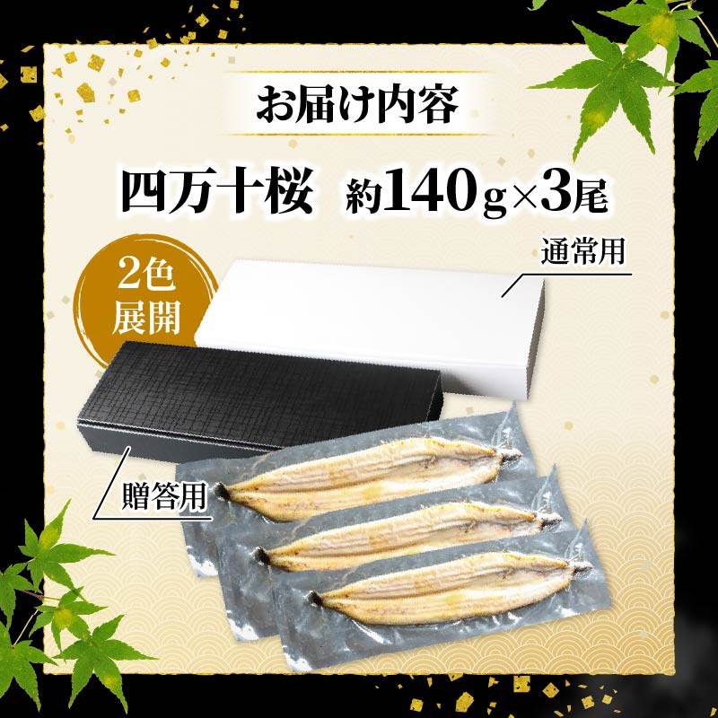 【通常用】【3回定期便】極上国産うなぎ四万十桜 白焼き約140g×3尾 | うなぎ 鰻 ウナギ 白焼き 定期便 国産 四万十鰻 ウナギ 蒲焼き 調理済み タレ付き 頒布会 ギフト（お歳暮/お正月）高級
