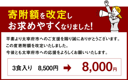 一蘭ラーメン生麺セット（3食入）一蘭 ラーメン 生麺 麺 豚骨 詰め合わせ