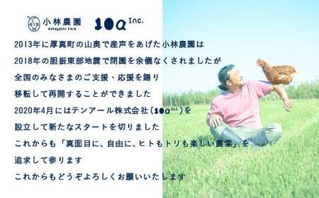 【全2回定期便】平飼い卵のクラシックプリン 8個【テンアール株式会社】 プリン 固め かため 硬め 濃厚[AXAN081]