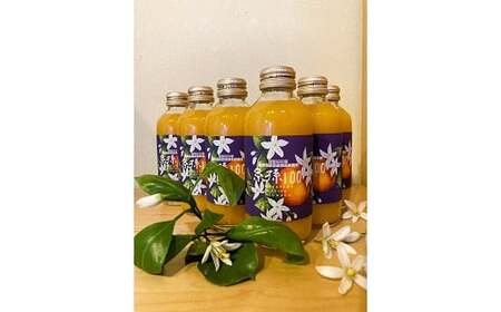 糸孫農園の100％みかんジュース「糸孫100」180ml 6本ギフトセット（B1043-1）