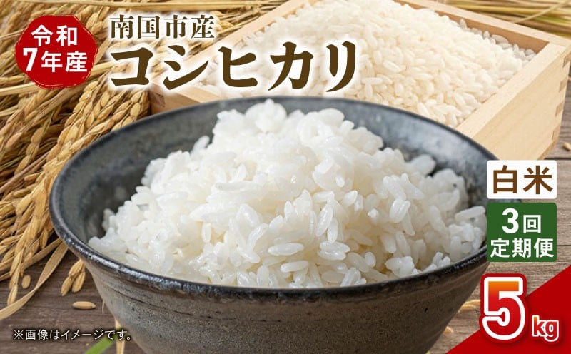 
            【3回定期便】令和7年度 南国市産 コシヒカリ 白米 5㎏ | 新米 数量限定 米 コメ お米 ご飯 おにぎり こめ 弁当 高知県 南国市 AH
          