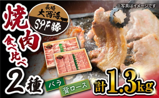 【 訳あり 】 焼肉 豚 大西海 SPF豚 背ロース ＆ バラ （ 焼肉 用）計1.3kg（各650g） 西海市 豚肉 肉 焼肉 焼き肉 やきにく 焼肉食べ比べ 豚バラ 豚ロース 贈答 ギフト プレゼント ＜大西海ファーム＞ [CCY007]