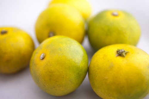 AA189.【予約受付・期間限定商品】早味かん（5kg程度）.2026年9月～10月配送