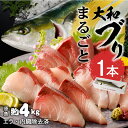 【ふるさと納税】【10月～2月発送】まるごと一本 大和ブリ 内臓処理済み しっかりとした肉厚 弾力 臭み 少ない ぶり 刺身 ぶりしゃぶ 煮物 旬 国産 魚 海鮮 宮崎県延岡市 産地直送 お取り寄せ 送料無料 【大和海商】