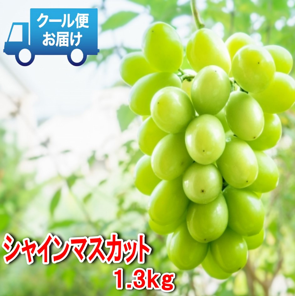 
＜2024年発送＞安心のクール便発送　収穫当日に産地直送　シャインマスカット 1.3kg (2房) 179-007
