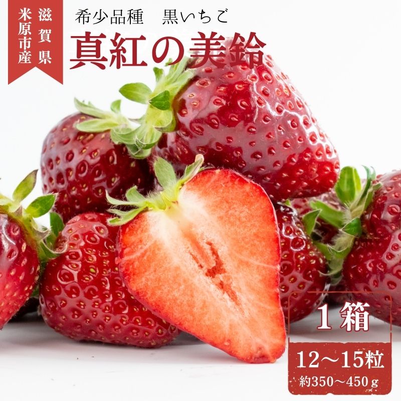 【ふるさと納税】希少品種黒色いちご「真紅の美鈴（しんくのみすず）」 いちご 黒いちご 本州限定 苺 イチゴ 果物 フルーツ くだもの 国産 　お届け：2026年1月上旬～5月下旬ごろ