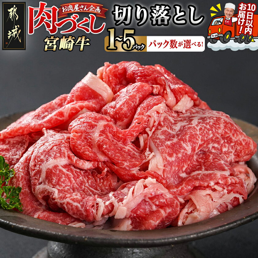 【ふるさと納税】【パック数が選べる！】【肉づくし都城】宮崎牛赤身切り落とし【300g】 - 都城産 宮崎牛 宮崎牛切り落とし 選べるパック数 300g×1P/2P/3P/4P/5P 牛肉 A5 赤身肉 スピード配送 送料無料 SKU-0110 【宮崎県都城市】