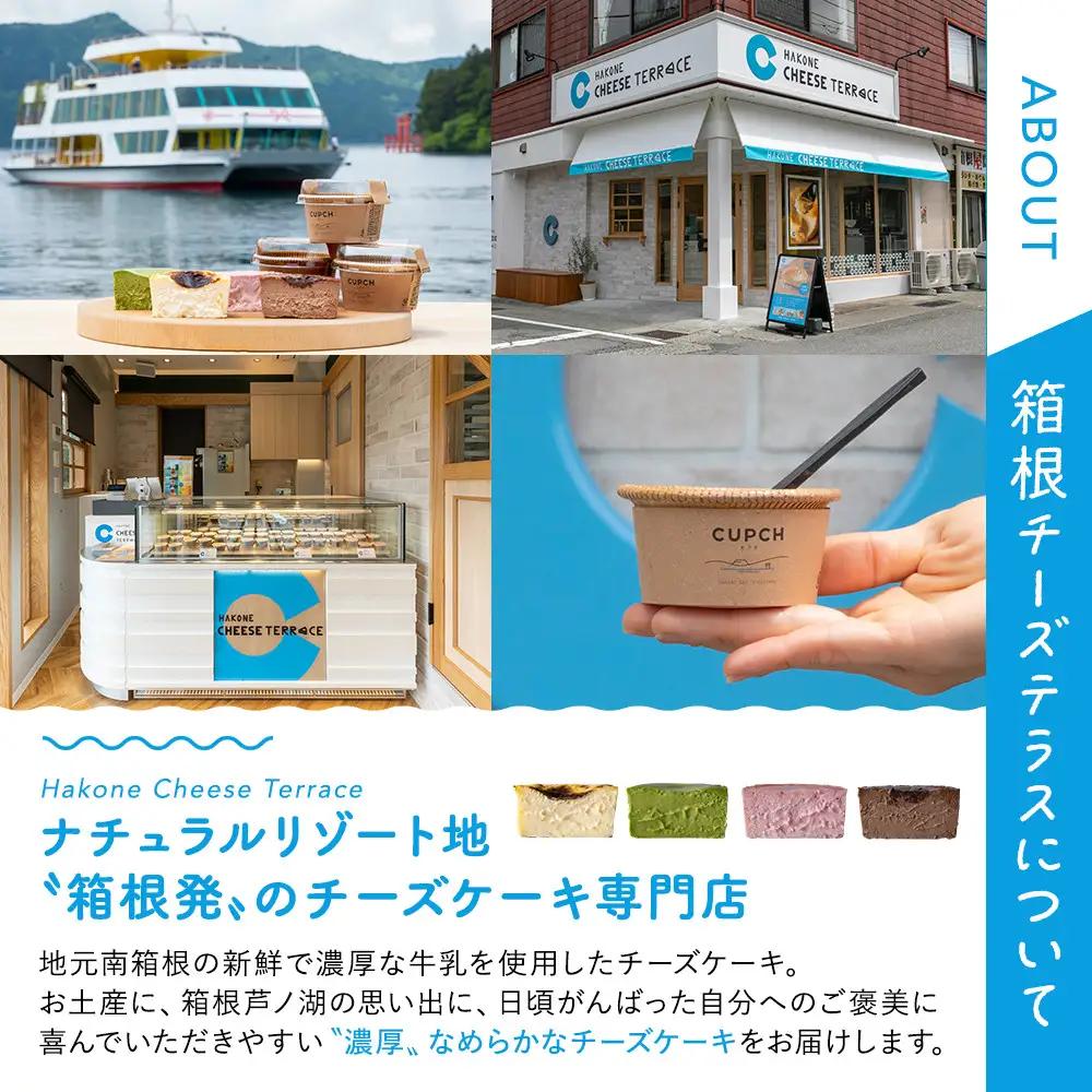 箱根発！なめらか濃厚バスクチーズケーキ 箱根チーズテラス・カプチ 【プレーン6個セット】｜スイーツ チーズケーキ 人気 おすすめ お菓子 デザート 濃厚 洋菓子 ギフト おやつ 送料無料 神奈川県 小