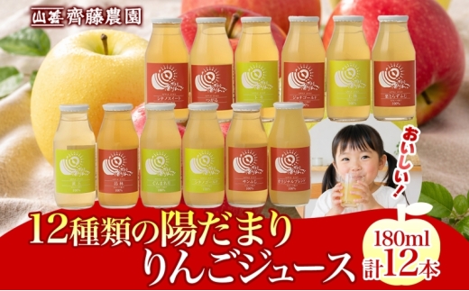山善 齊藤農園 12種類の陽だまりりんごジュース 12本セット 各180ml りんごジュース ストレート 果汁 飲料 ドリンク りんご 林檎 アップルジュース 飲み比べ セット ご当地 お取り寄せ 贈り物 青森県 板柳町