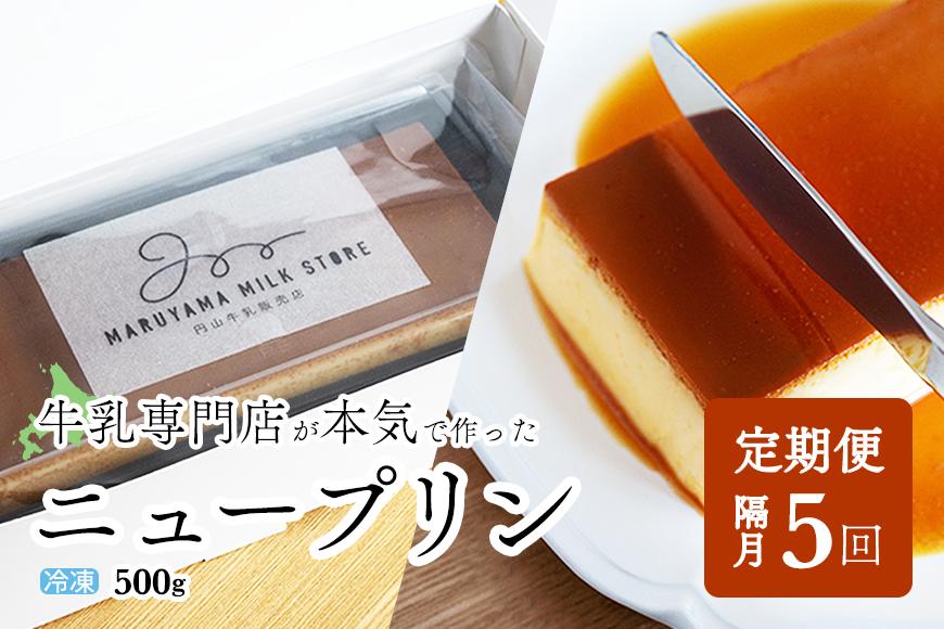 【隔月定期便】濃厚プリン　New Pudding（ニュープディング）（500g×1本）×5回【be152-0931-200-5】