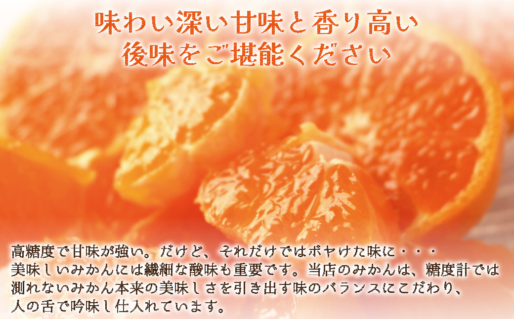和歌山県産 早生温州みかん 秀品 Sサイズ 3kg [Sn1]