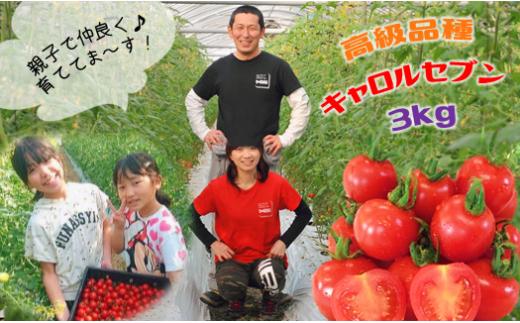 
玉名産熟成ミニトマト「キャロルセブン」(3kg)
