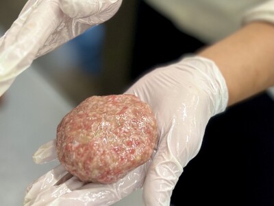 飛騨牛100％無添加ハンバーグ（10個）