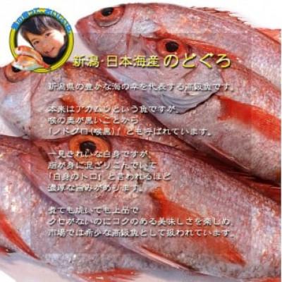 ふるさと納税 新発田市 【鮮度抜群】真空冷凍　日本海産ノドグロ 10尾セット(1尾 約100g以上) |  | 01