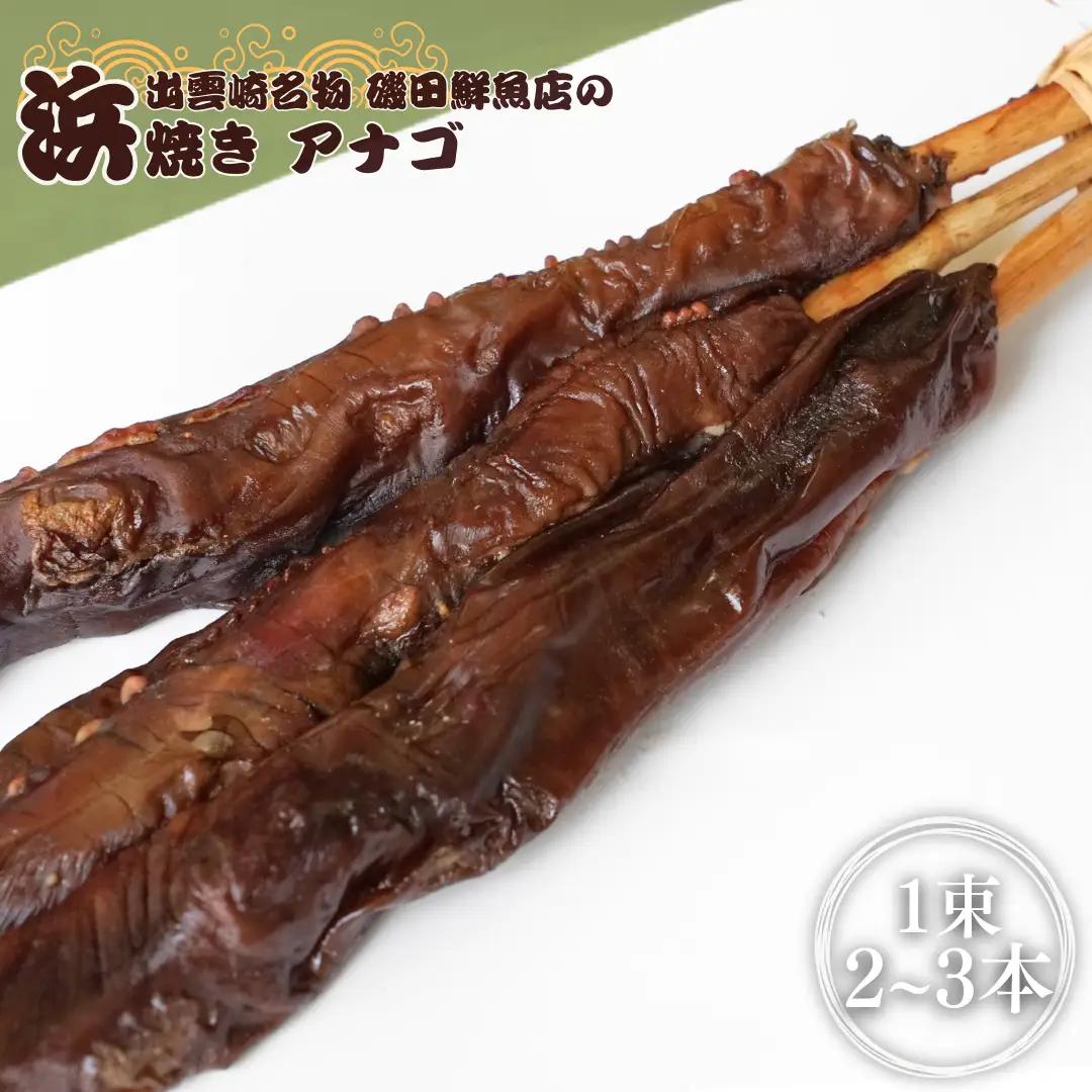 穴子 浜焼き セット アナゴ 1束2～3本入 | 浜焼き 出雲崎名物 新潟県 磯田鮮魚店