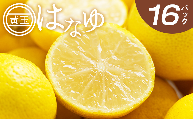 虎弥太郎 はなゆ黄玉 16パック -  国産 ゆず 柚子 ユズ 花柚子 柑橘 香酸柑橘 果物 花皮果汁 フルーツ 果実 料理 酒 ハイボール 焼酎 アレンジ 焼き魚 小分け hy-0004