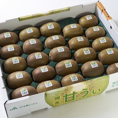 ふるさと納税 岡垣町 福岡産ブランドキウイ・甘うぃ24-33玉箱(約3kg)(岡垣町) |  | 01