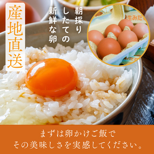 U-4 ◆3ヵ月定期便◆ 黄身がしっかり濃厚な卵【アスタの恵み】50個×3