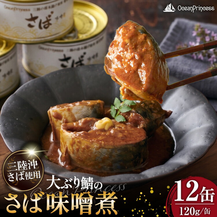 【ふるさと納税】 OceanPrincess 大ぶり鯖のさば缶 12缶 セット 味噌煮 [モンマルシェ 宮城県 気仙沼市 20565066] 缶詰 サバ缶 サバ 缶詰め かんづめ 鯖 さば さばの味噌煮 味噌煮 簡単調理 高級 保存食 常備 常温 オーシャンプリンセス
