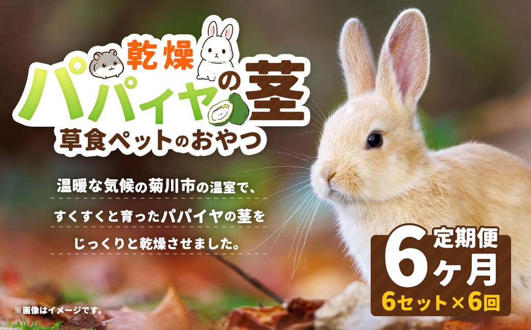 
                  【6ヶ月定期便】乾燥パパイヤの茎 50g（約20本～30本）×6セット（うさぎ等､草食の小動物のおやつ） ペット うさぎ ウサギ ハムスター モルモット チンチラ 小動物 草食動物 おやつ 無添加 無着色 パパイヤ 茎 乾燥 国産 静岡県 菊川市
                