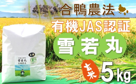 【令和5年産・玄米】ecofarmすがわらの合鴨農法有機JAS認証雪若丸5kg