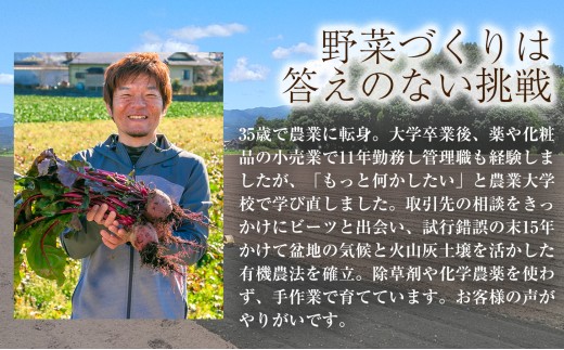 自社農園栽培 生ビーツ1kg ビーツ やさい 野菜 健康 美容 冷蔵 国産 九州 熊本県 あさぎり町