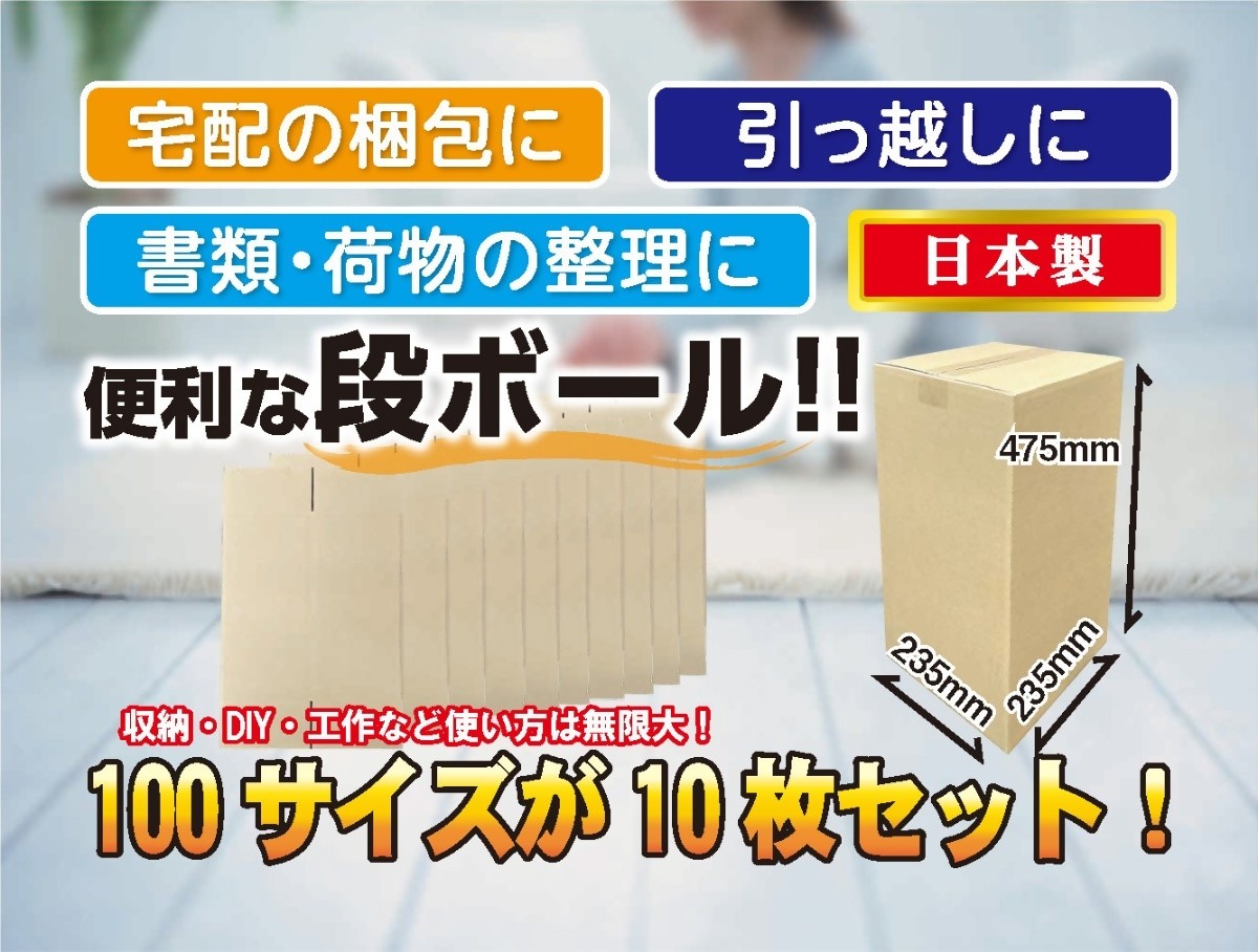 
            100サイズ 段ボール 10枚 縦型
          