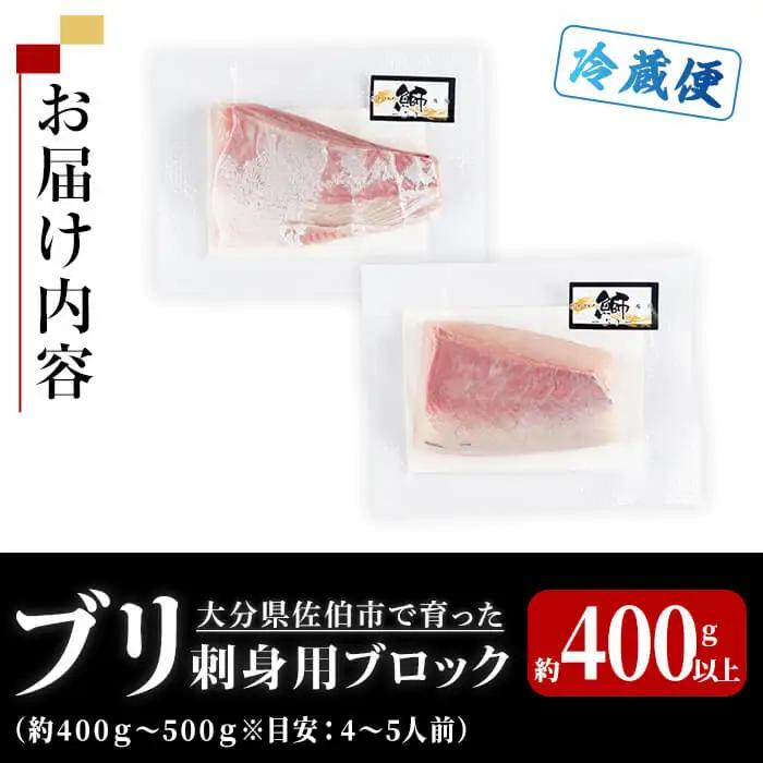 ブリ 刺身用 ブロック (約400-500g・4-5人前) ブリ 鰤 ぶり 海鮮 鮮魚 さしみ 刺し身 冷蔵 【opba002】【海べ】