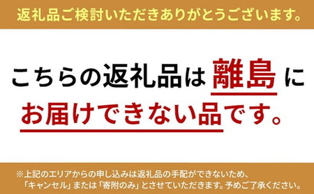 ポンプウキワ(サイズ100cm)※離島への配送不可