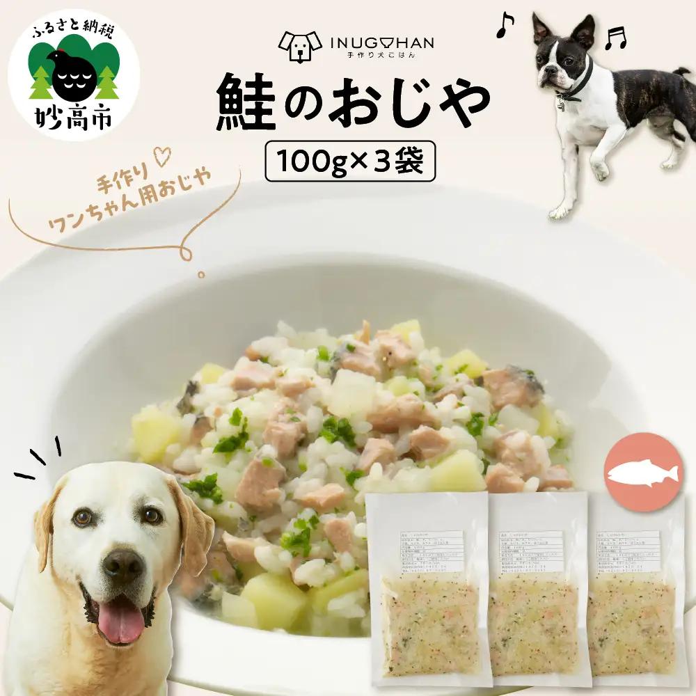 鮭のおじや　100g×3袋入