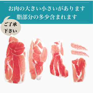 鹿児島県産黒豚切り落とし1600g+黒豚生ハム100g(水迫畜産/010-493)鹿児島黒豚 黒豚 豚肉 豚 肉 黒豚ロース 黒豚バラ 黒豚モモ セット 国産 食べきり サイズ ワイン おつまみ サラ