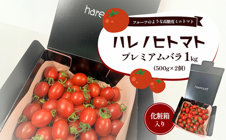 トマト ハレノヒトマト プレミアム 1kg 三重 トマト