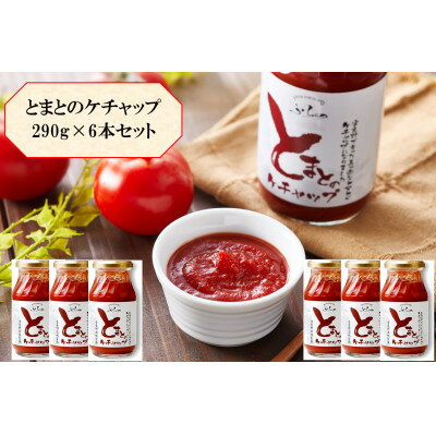 【ふるさと納税】【北海道産トマト使用】ふらの とまとのケチャップ 290g×6本入【1670250】
