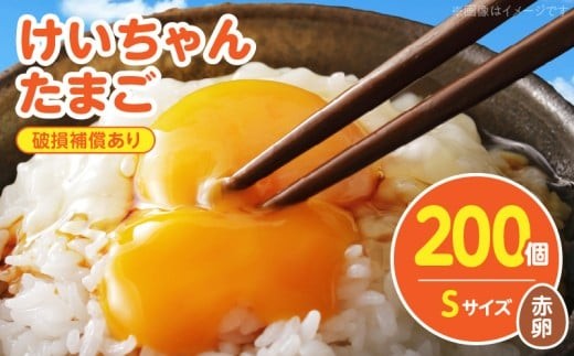 
            けいちゃんたまご　赤　Sサイズ 　200個 C01107
          