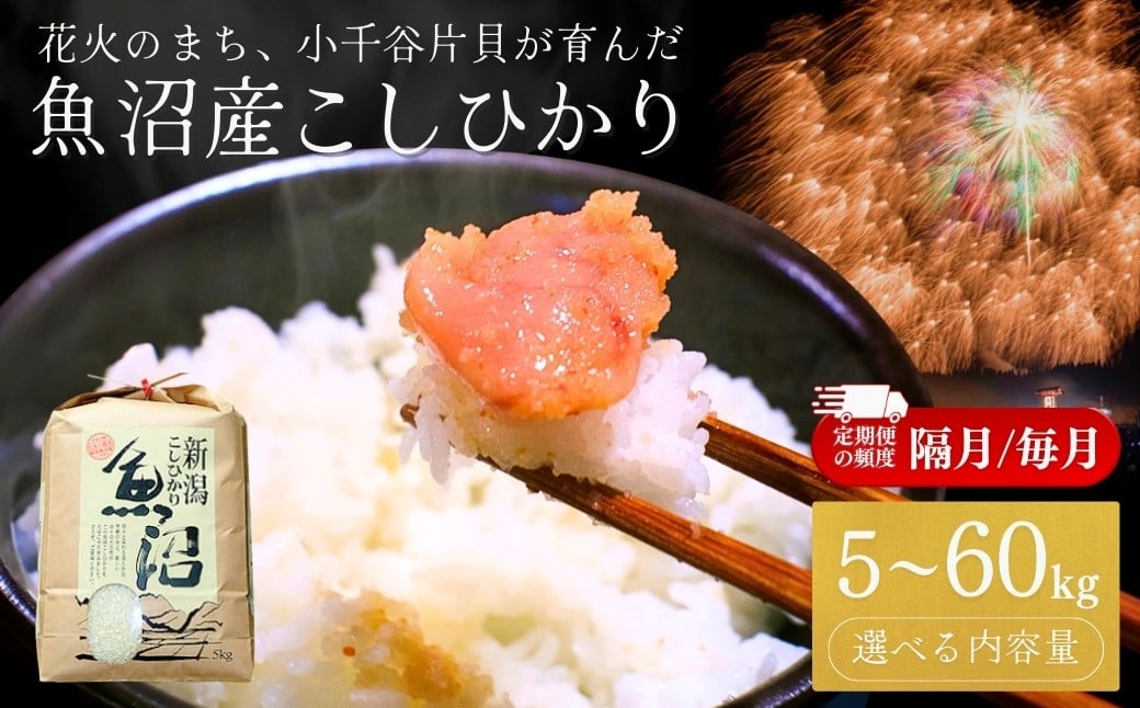 
                  【コシヒカリ 令和7年産】魚沼産コシヒカリ 選べる定期便 5kg～60kg 米萬商店 | 四尺玉の町片貝町からお届け 産地直送 老舗米屋の厳選米 ギフト 贈答 新潟県産コシヒカリ 新潟県産こしひかり 魚沼コシヒカリ お米 米 こしひかり 白米 精米 ブランド米 特A評価 新潟県 小千谷市【0002-KM00SV00-01】
                