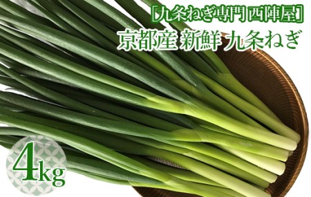 ［九条ねぎ専門 西陣屋］京都産新鮮九条ねぎ 4kg 野菜 セット 旬 野菜