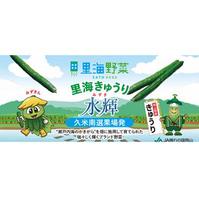 ふるさと納税 久米南町 久米南町産　里海きゅうり 約5kg |  | 01