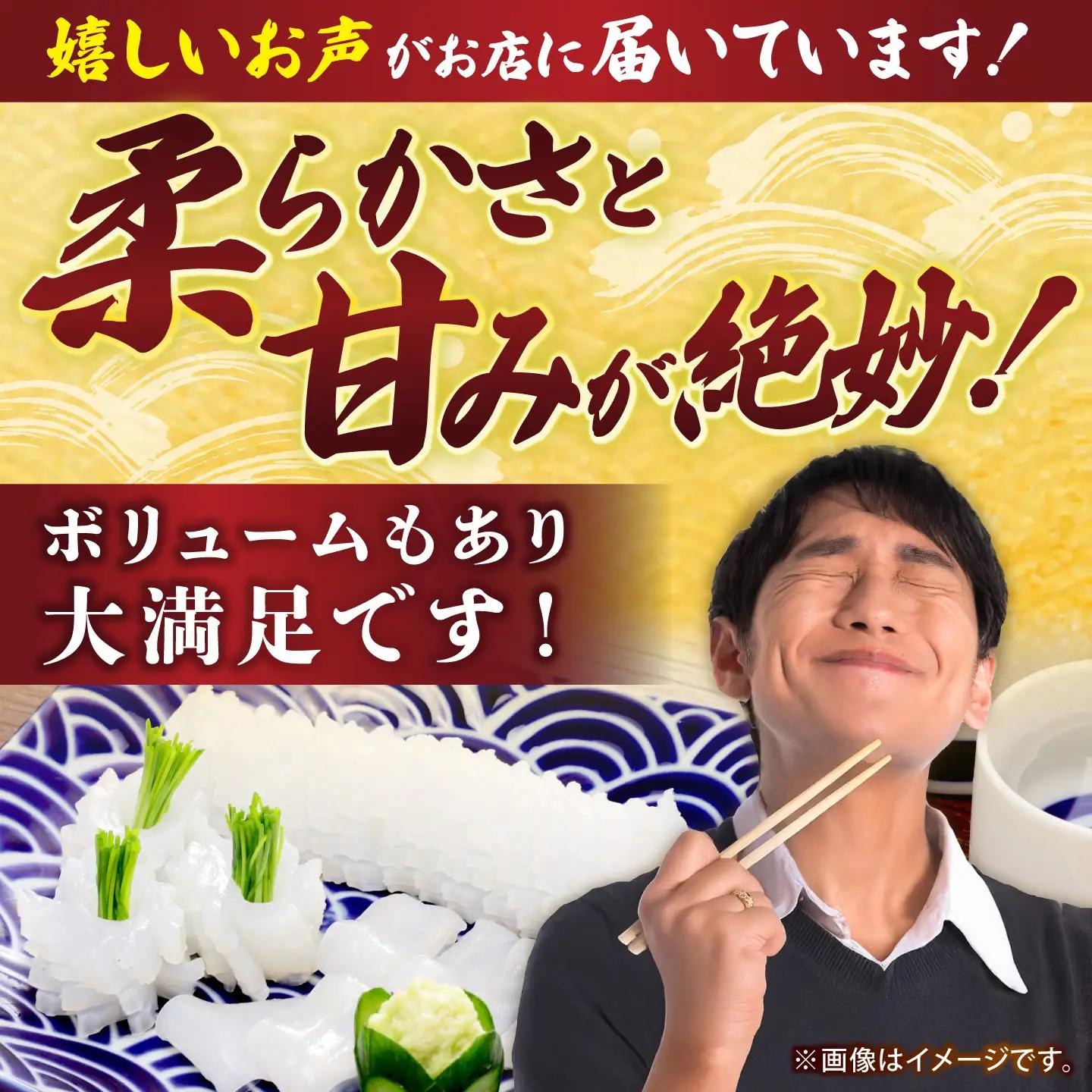 訳あり アオリイカ（刺身用） 300g [JCC027] イカ FN-Limited-PR