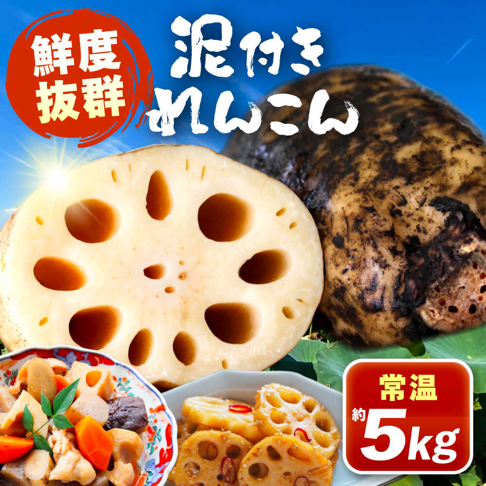 【ふるさと納税】 泥付きれんこん 5kg 野菜 レンコン 愛西市 / JAあいち海部れんこんセンター 【配送不可地域：北海道・沖縄・離島】[AEDK003]