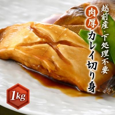 ふるさと納税 越前町 【のし付】肉厚!越前産カレイ切り身　1kg入
