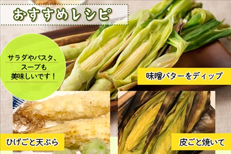 《期間限定》北海道 士幌産 わかもろこし 25本 セット (2026年7月中旬～発送開始予定)  皮付き ヤングコーン 十勝産 ベビーコーン トウモロコシ とうもろこし 産地直送 産直 お取り寄せ 送
