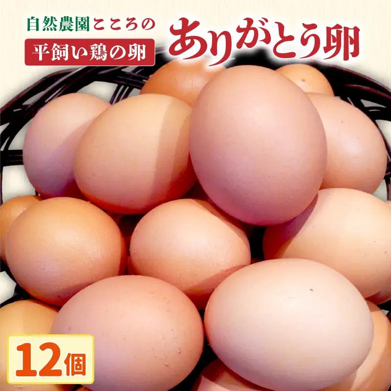 自然農園「こころ」の平飼い『ありがとう卵』 12個（6個×2パック）